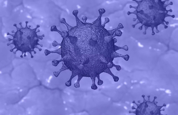 Coronavirus (COVID-19) - Practical information