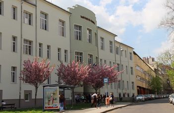 Elérhetőségek