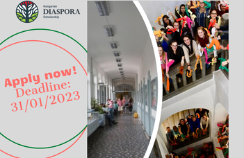 Hungarian Diaspora Scholarship – Apply now!